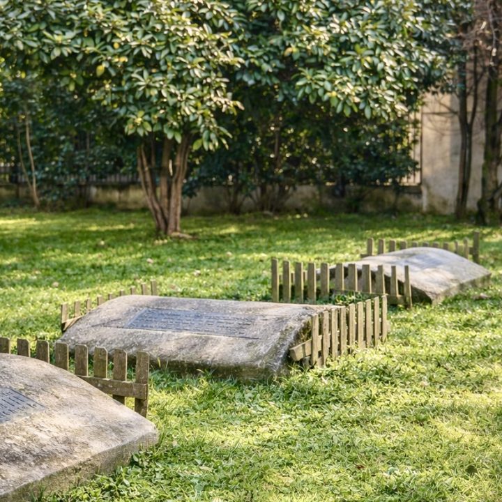 Area cani privata Parco Solari