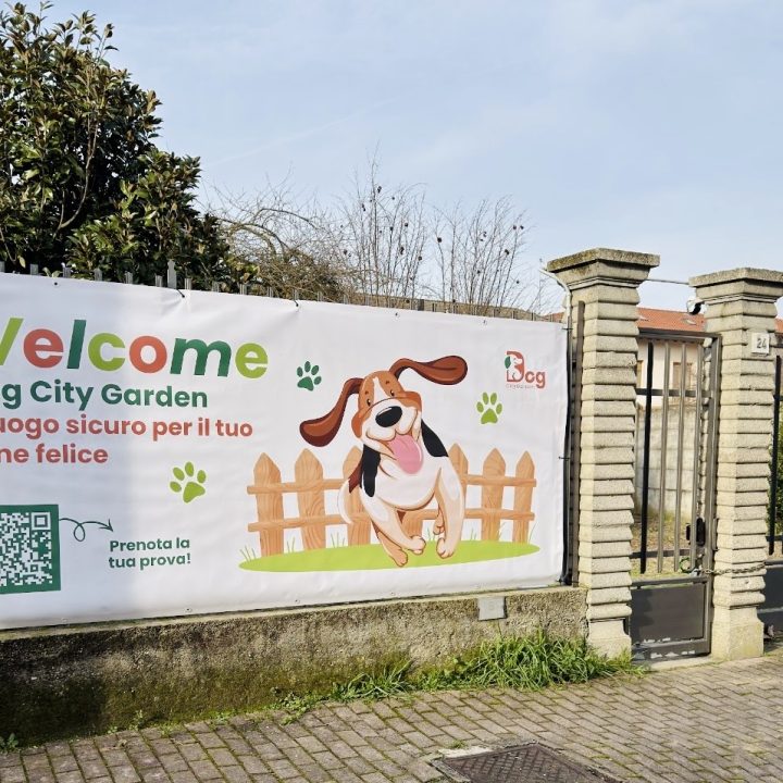 area cani privata varedo